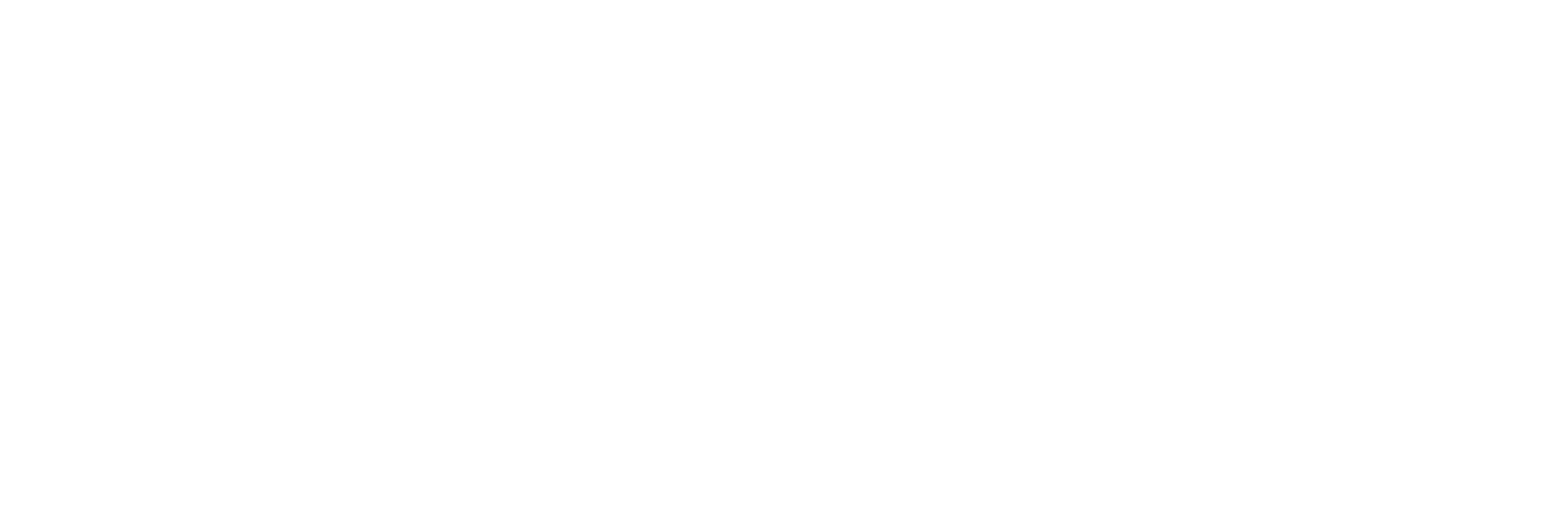 Logo  Leadership Summit Next Gen
